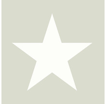 Symbol hvězdy