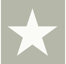 Symbol hvězdy