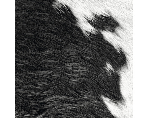 Fototapeta vliesová 357241 S koženým vzhledem 0,5x9 m Detail černé a bílé zvířecí srsti.