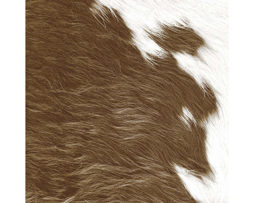 Fototapeta vliesová 357242 S koženým vzhledem 0,5x9 m Detail hnědo-bílého koberce z kravské kůže.