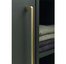 Dveře skříně s dlouhou zlatou rukojetí