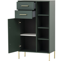 Zelená skříňka se zásuvkami, dvířky a policemi