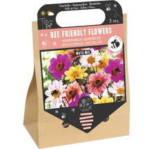 Cibuloviny, květiny přátelské k včelám, směs Maya, 3 kusy