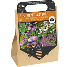 Cibuloviny Happy Ladybug, 30 kusů