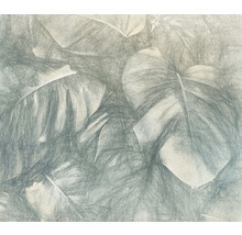 Ilustrace tropických listů