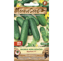 Balíček semen okurek nakládaček