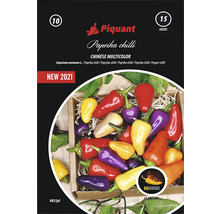 Balení semen Piquant Paprika Chili Chinese Multicolor