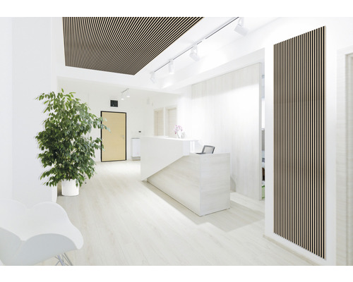 Světlá místnost s lamelovým stropem a stěnovými panely ze dřeva, recepcí a zelenou rostlinou