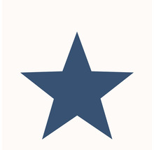 Symbol hvězda