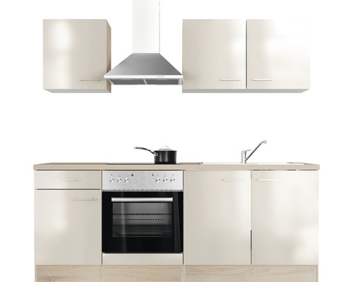 Vestavěná kuchyně s dřezem, sporákem, troubou, digestoří a závěsnými skříňkami.