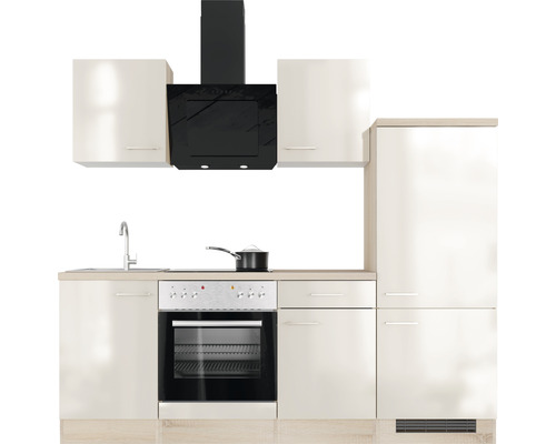 Kuchyňská linka s dřezem, sporákem, digestoří a lednicí