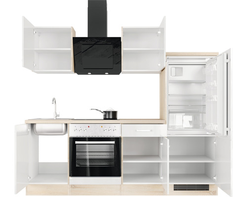 Kompletní kuchyně s dřezem, sporákem, troubou, lednicí a odsavačem par