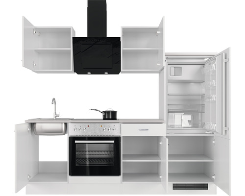 Kompletní kuchyně s dřezem, varnou deskou, troubou, digestoří, lednicí a skříňkami
