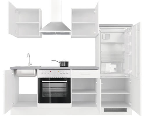 Kompletní kuchyňská linka s dřezem, sporákem, odsavačem par a chladničkou s otevřenými dveřmi.