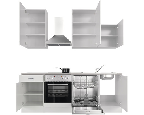 Kompletní kuchyňská linka se závěsnými skříňkami, digestoří, dřezem, sporákem, troubou a myčkou nádobí.