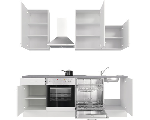 Kuchyňská linka s dřezem, sporákem, troubou, digestoří, myčkou a otevřenými skříňkami