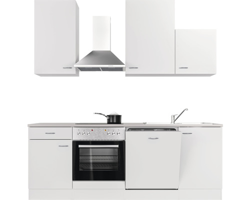 Kuchyňská linka s horními a spodními skříňkami, digestoří, dřezem, sporákem a myčkou nádobí.