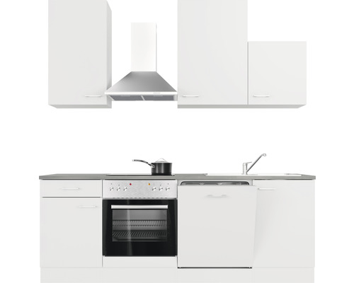 Kompletní kuchyňská linka s dřezem, sporákem, troubou, myčkou nádobí, digestoří a horními skříňkami.