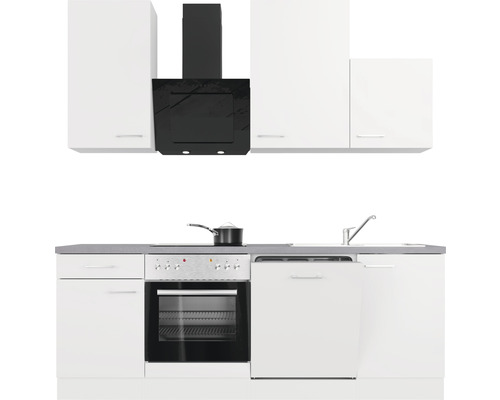 Kompletní kuchyně s dřezem, sporákem, troubou, digestoří, myčkou a skříněmi