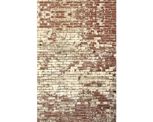 Vliesový panel 103438204 Kamenný dekor 200x310 cm Cihlová zeď s odlupující se barvou.