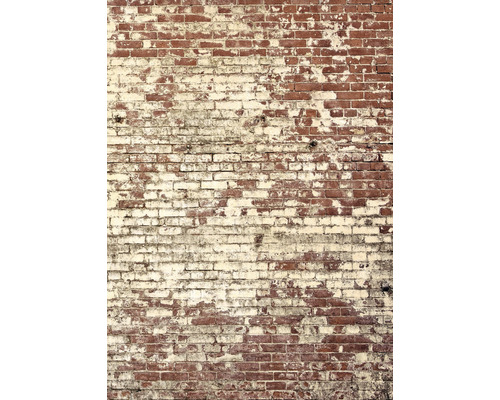 Vliesový panel 103438203 Kamenný dekor 200x280 cm Cihlová zeď s odlupující se barvou