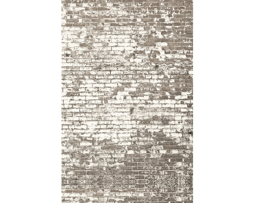 Vliesový panel 103431904 Kamenný dekor 200x310 cm