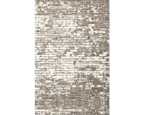Vliesový panel 103431904 Kamenný dekor 200x310 cm Stará cihlová zeď s odlupující se barvou jako pozadí