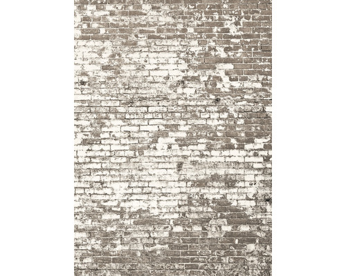 Vliesový panel 103431903 Kamenný dekor 200x280 cm Cihlová zeď s odlupující se barvou.