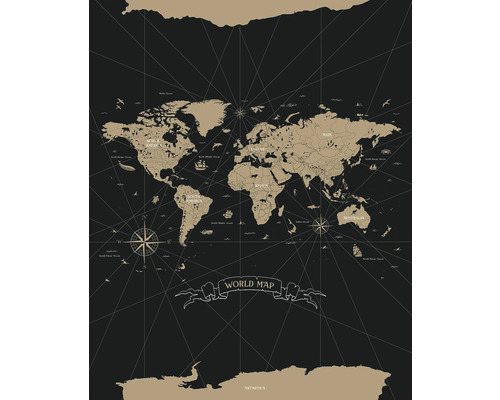 Vliesový panel 103419202 Mapa světa 200x310 cm