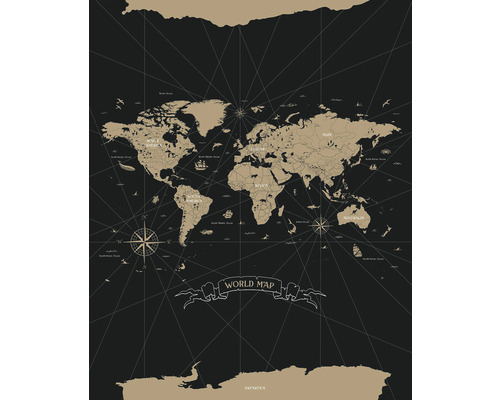 Vliesový panel 103419202 Mapa světa 200x310 cm Mapa světa s kontinenty, oceány a růžicemi kompasu