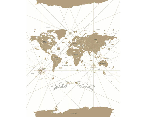 Vliesový panel 103410102 Mapa světa 200x310 cm Mapa světa s kontinenty a oceány