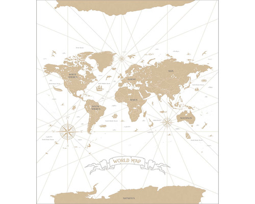 Vliesový panel 103410101 Mapa světa 200x280 cm Mapa světa s kontinenty, oceány a růžicemi kompasu