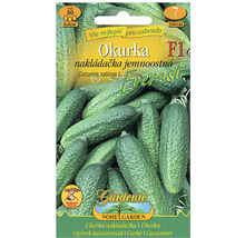 Balení semen okurek nakládaček