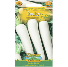 Balíček semen ředkvičky Astor