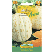 Semena melounu Ananas
