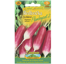 Semena ředkvičky odrůdy Flamboyant 2