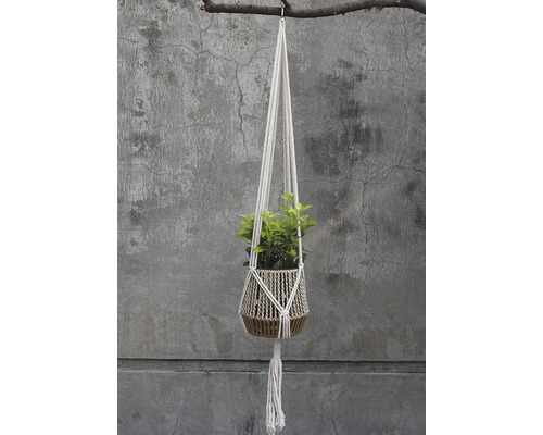 Závěsný květináč s rostlinou na větvi