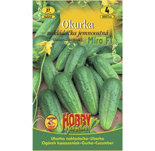 Balení semen okurek nakládaček