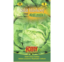 Balení semen hlávkového salátu