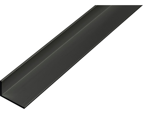 Alu L profil černý eloxovaný 20x10x1 mm, 2 m