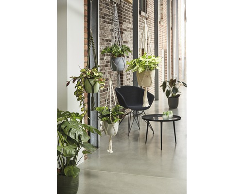 Světlý a přátelský interiér s visícími rostlinami v makramé držácích, židlí a stolem.