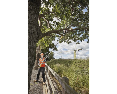 Osoba v ochranném oděvu používá tyčovou pilu k řezání větví stromu.