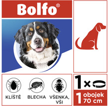 Bolfo obojek proti klíšťatům, blechám a vším pro psy