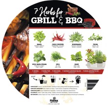 7 bylinek na gril a barbecue s bazalkou, chilli papričkou, rozmarýnem, tymiánem, divokou majoránkou, koprem a šalvějí