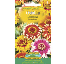 Balení semen Cínie Caroussel