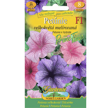 Balení semen Petúnie F1 Prime Time
