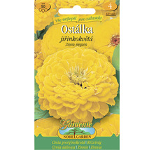 Balení semen Zinnia Zinnia elegans