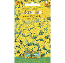 Balení semen Aksamitník jemnolistý nízký Tagetes tenuifolia