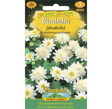 Balení semen Řimbaba plnokvětá (Chrysanthemum parthenium)