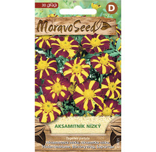 Balení semen aksamitníku nízkého